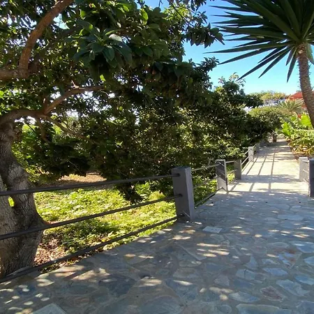 Estudio La Platanera Valle Gran Rey